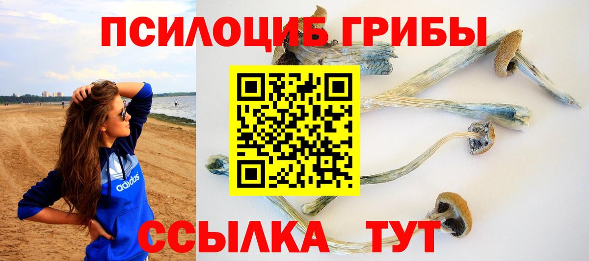 Галлюциногенные грибы прущие грибы  Псилоцибиновые грибы мухоморы  купить  сайты  Ейск  Вход с VPN 