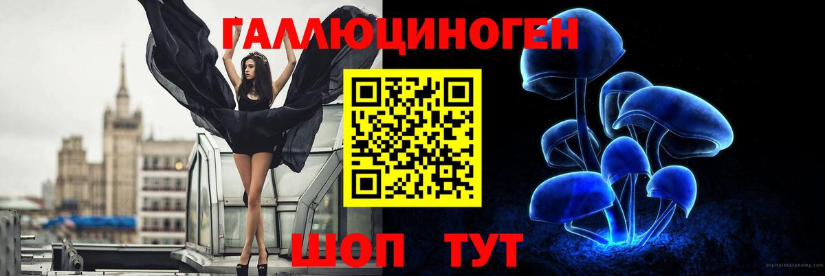 Псилоцибиновые грибы ЛСД Ейск